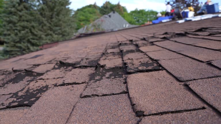 Roof Coating Services in West Simsbury, CT